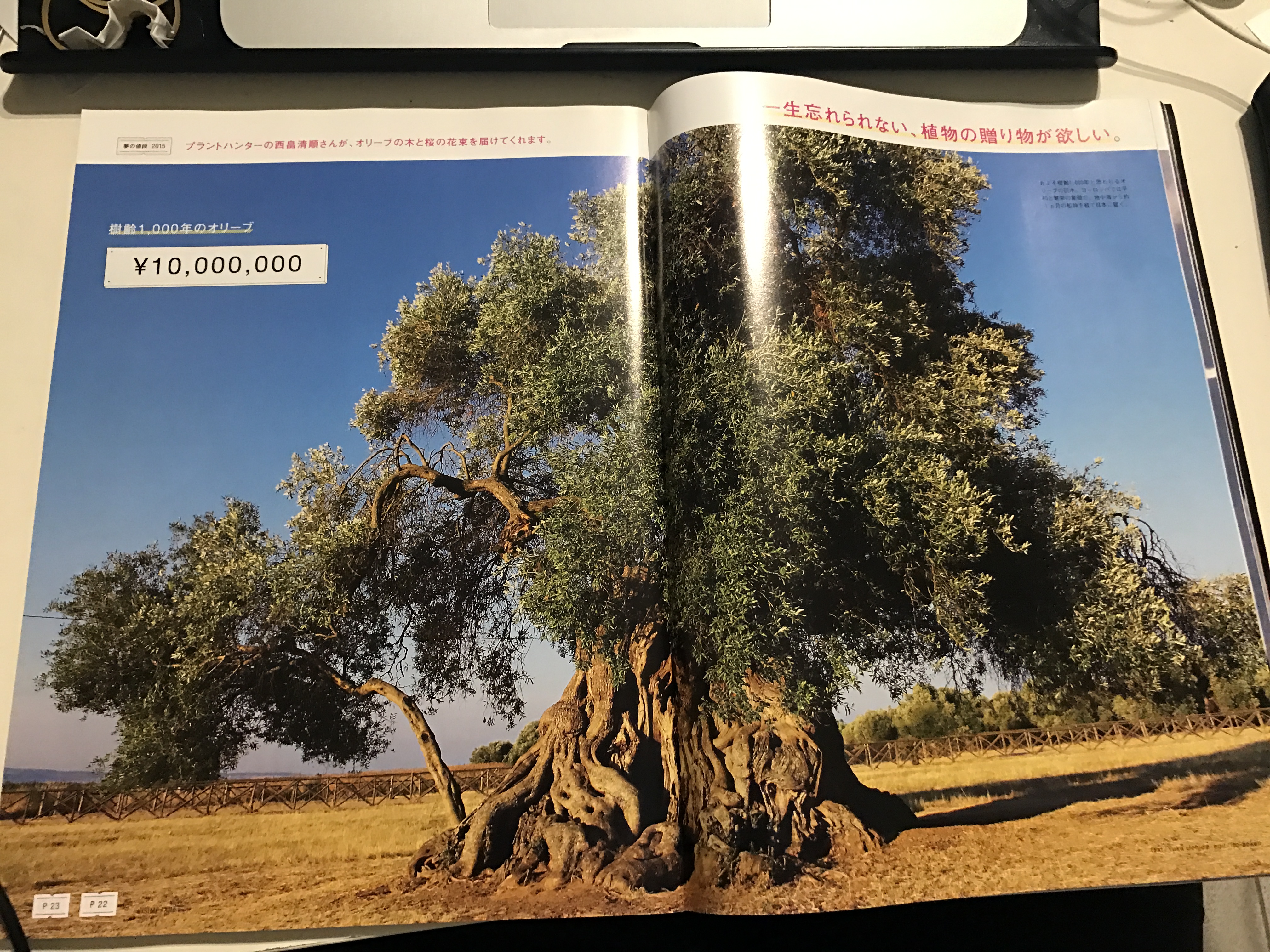 %e7%9b%b8%e7%89%87-2017-1-6-20-18-20