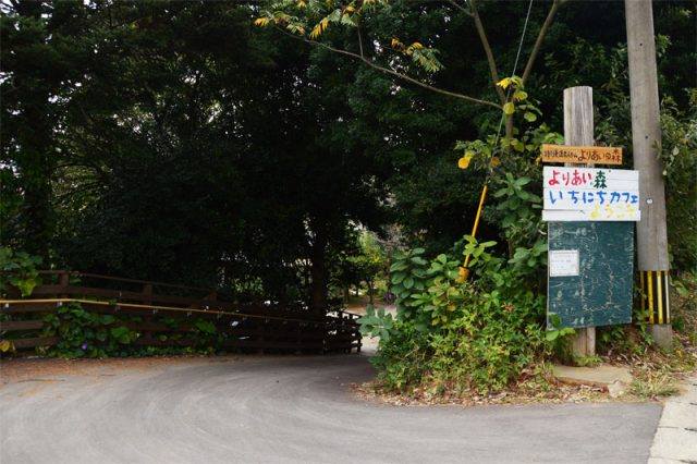 43609981_1907764922594124_4311093914648969216_n